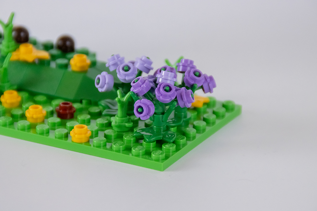 IMG 7978