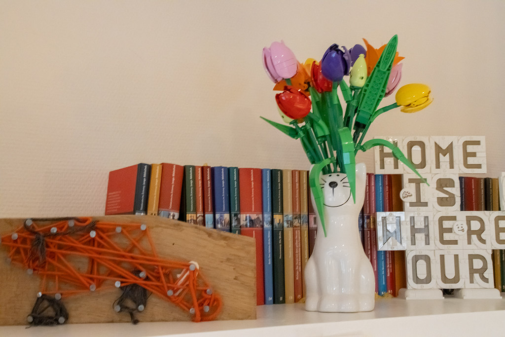 LEGO 11501 Tulpenstrauss Strauß in Regal