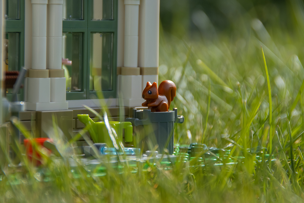 lego ideas 21353 botanischer garten bild50